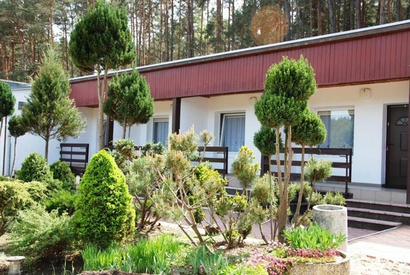 Ferienwohnung Osrodek Wypoczynkowy Sosenka Zalom  Exterior foto